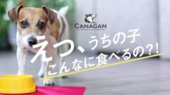 canagan